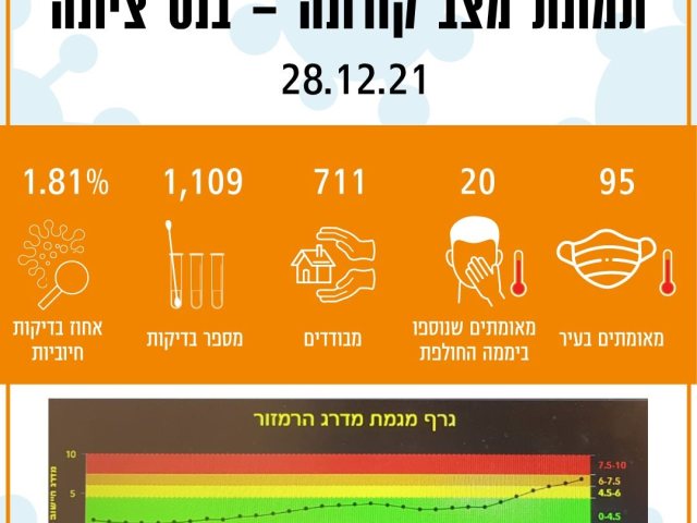דוברות נ.צ.