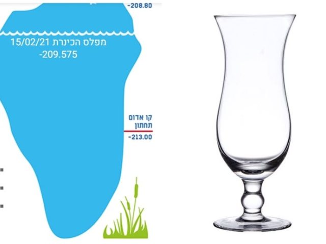 רשת
