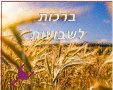 ברכות לשבועות אתר הברכות בעברית 