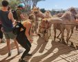 מתחם המים - קרדיט צילום - כפר הנוקדים - יוני גריצנר (1)