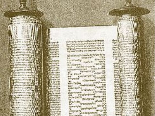 ויקיפדיה