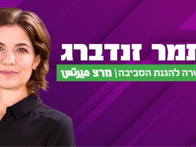 פרישה או פסק זמן מהחיים הפוליטיים צילום מסך פייסבוק תמר זנדברג 