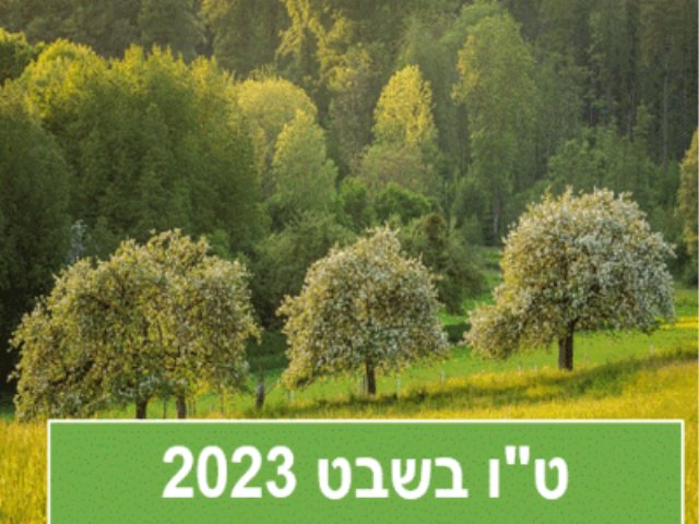 טו בשבט 2023  פעילות קרן קיימת טיולים סיורים אירועים חינם פעילות ביער  https://pixabay.com 