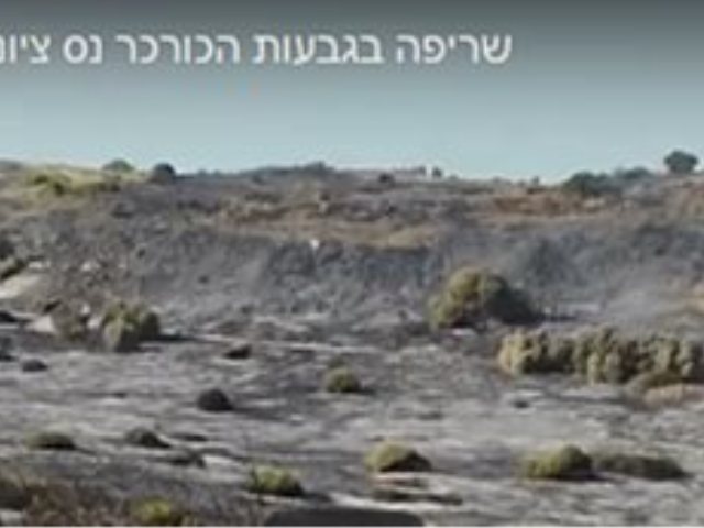 שריפה בגבעות הכוכר בנס ציונה צילום מתוך יוטיוב ערוץ הווידאו של Ron Malk
