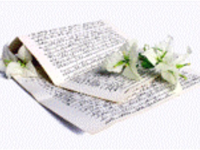 https://pixabay.com מכתב אהבה נדיר מאשה לגבר 