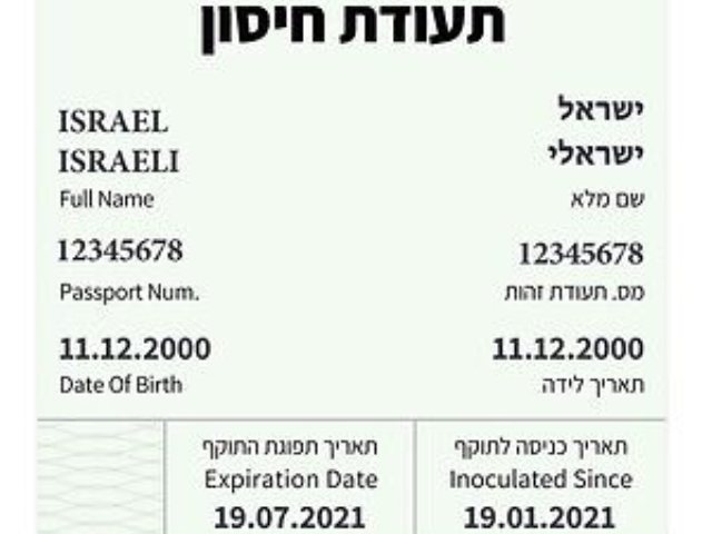צילום רשת 
