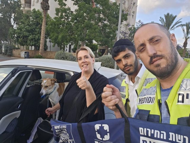 ידידים