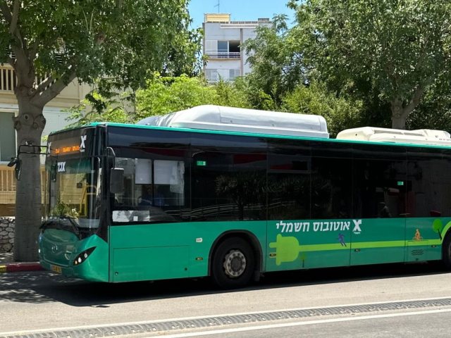 דוברות עיריית נס ציונה