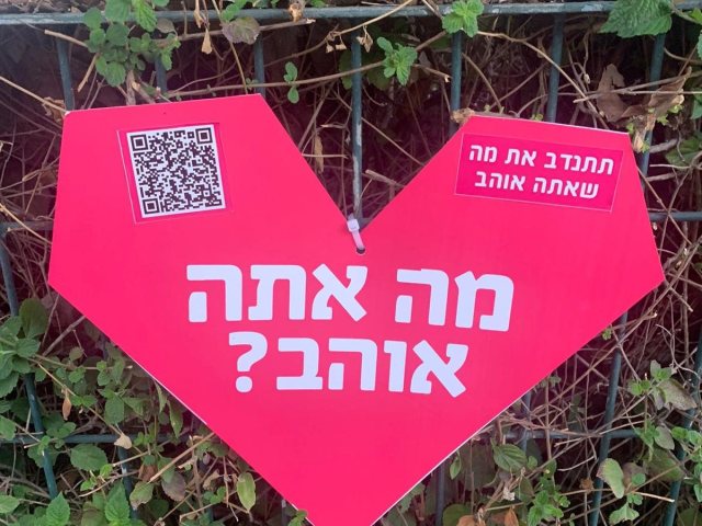 דוברות