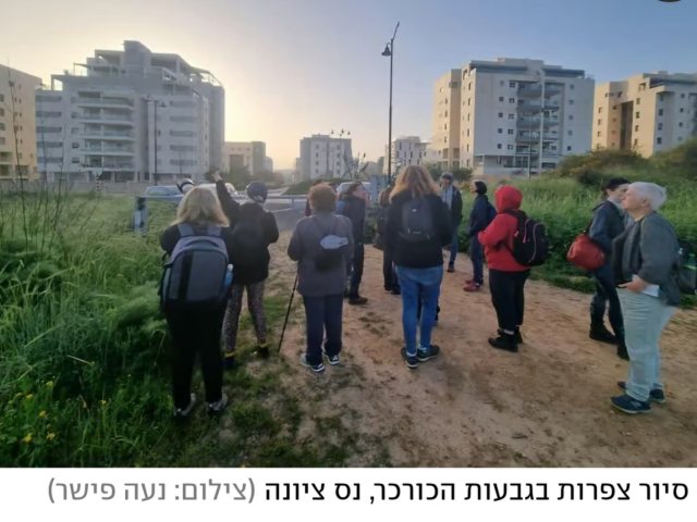 נעה פישר