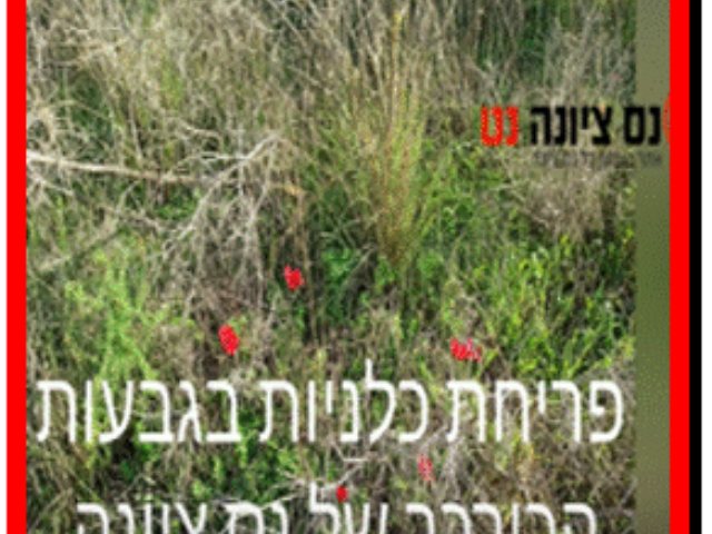 צילום עצמי 