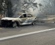 חריג: שריפת רכב הציתה דליקה ביער אשתאול סמוך לירושלים | צפו
