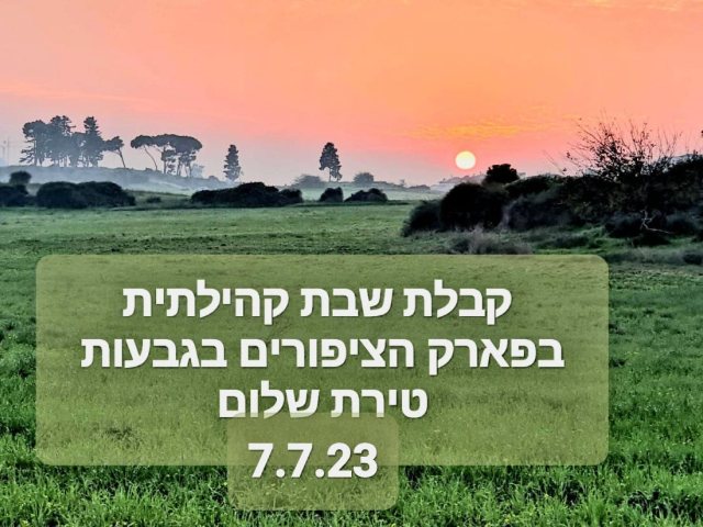 קבלת שבת בגבעות הכורכר גבעת האורנים נס ציונה צילום מתוך פייסבוק 