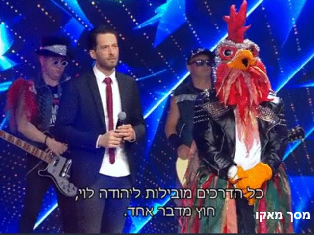 מי התרנגול במסכה צילום מאקו 
