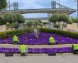 אלפי מצלמות מעקב לצד "דגלול" וימי איסוף סכך: ירושלים מתכוננת לחגי תשרי