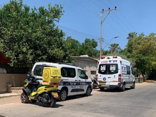 זק"א אילוסטרציה