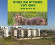 שומרים על המרחב הציבורי: הציבור נקרא לקחת חלק בהרחקת התנים מנס ציונה