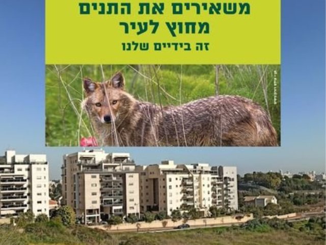 הציבור נקרא לקחת חלק בהרחקת התנים מנס ציונה