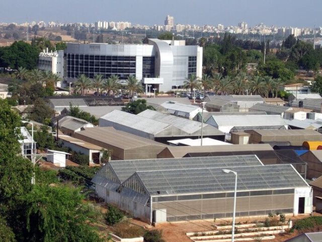 ויקיפדיה יגאל אלעד