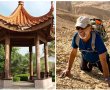 תושב "סביוני הפארק" יורם פולק: השאירו את פארק הפגודה כפי שהוא