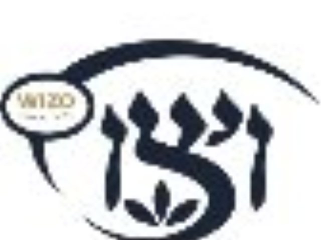 בית ספר דמוקרטי ויצו רחובות 