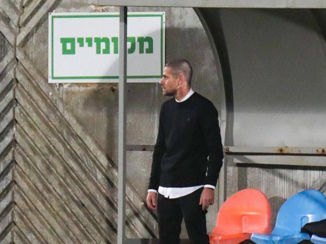 סקציה