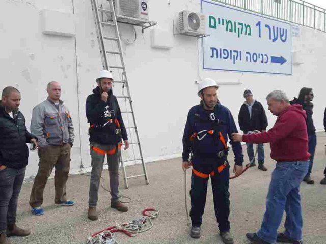 דוברות