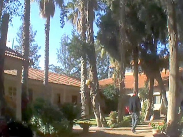 צילום מסך ערוץ 12