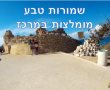 שמורות טבע במרכז המלצות לטיולים לכל המשפחה, זימון תור בשמורת טבע וטיפים חשובים 