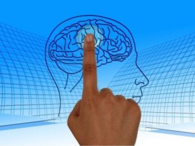איך למנוע אירוע מוחי https://pixabay.com 