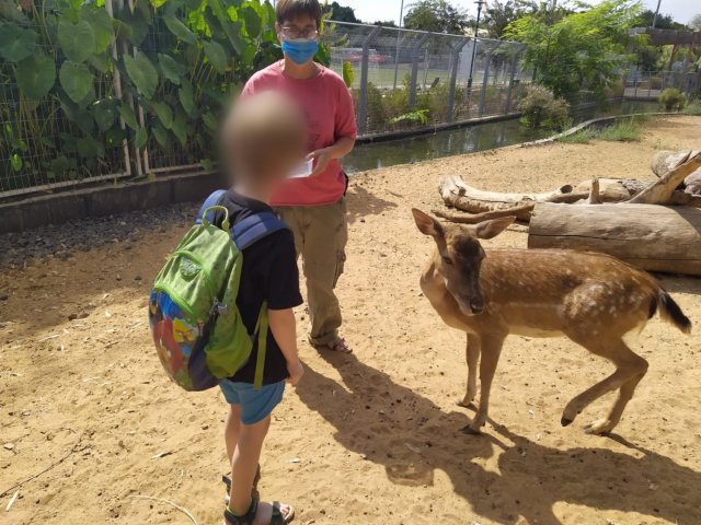 עיריה