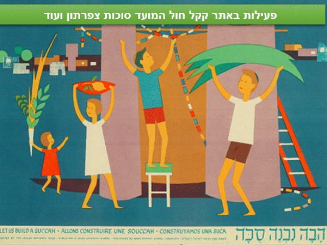 ארכיון קקל 