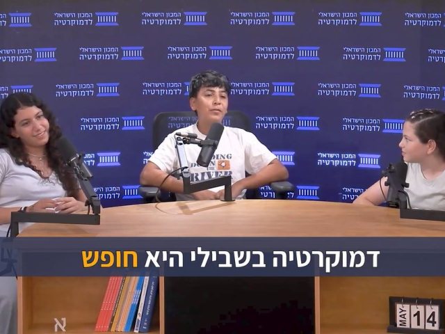 המכון הישראלי לדמוקרטיה