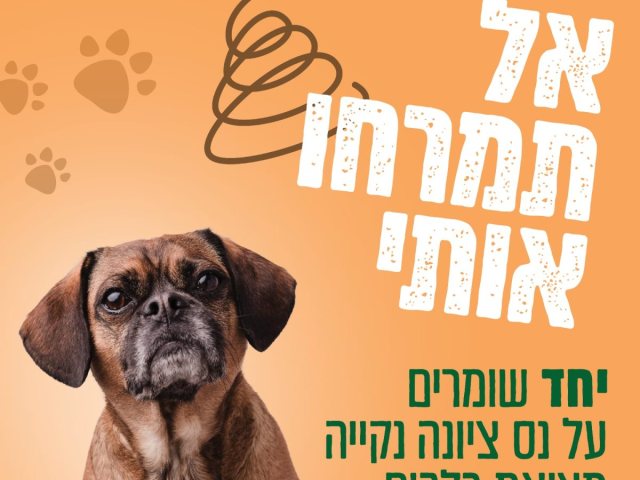 דוברות עיריית נס ציונה
