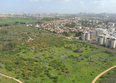 דוברות עיריית נס ציונה