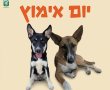 מחפשים חבר חדש על ארבע? יום אימוץ מיוחד יתקיים השבוע בנס ציונה