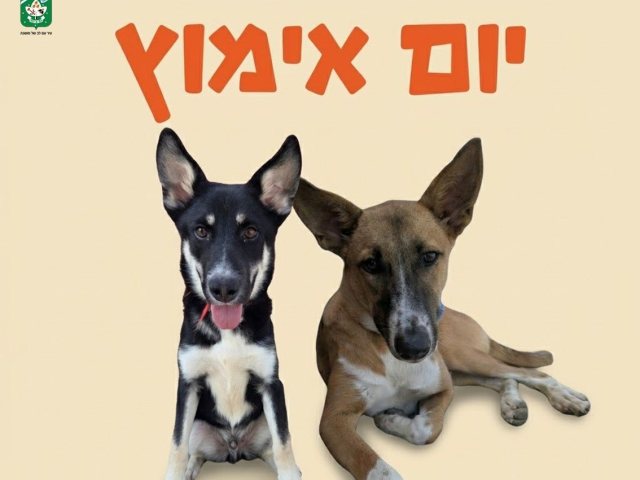 עיריית נס ציונה