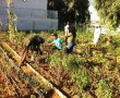 הגינה קהליתית שגיבשה את תושבי שכונת רמת אליהו