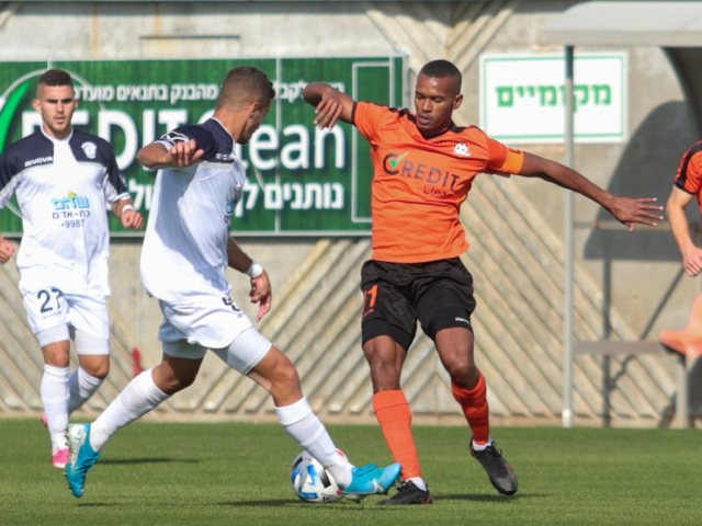 סקציה