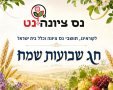פרטי