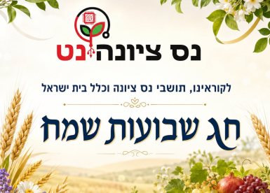 פרטי