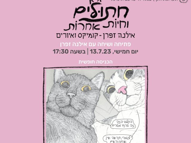 בית מיכל רחובות ריבוע חתולים וחיות אחרות קיץ 2023