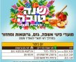 פינוי גזם בנס ציונה: לוח זמנים מעודכן לפינוי אשפה, גזם ומיחזור לקראת יום כיפור תשפ"ז (2026)
