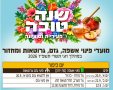 פינוי גזם בנס ציונה לוח זמנים מעודכן לפינוי אשפה גזם ומיחזור לקראת יום כיפור תשפז 2026