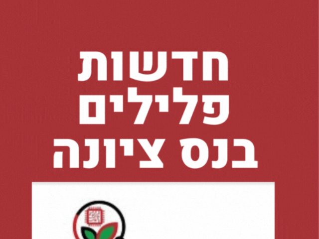 חדשות פלילים נס ציונה מבזקי חדשות עירוניים 