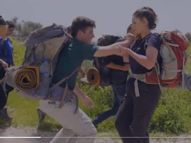 נירים