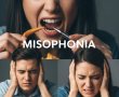 מיסופוניה – הקשר בין רעש למצב נפשי