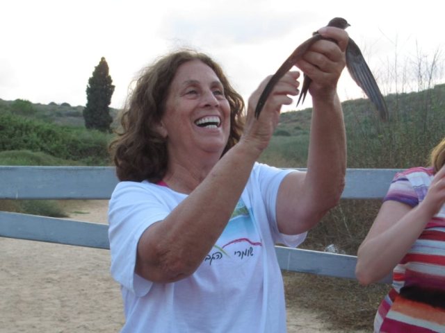סוזנה פלדמן