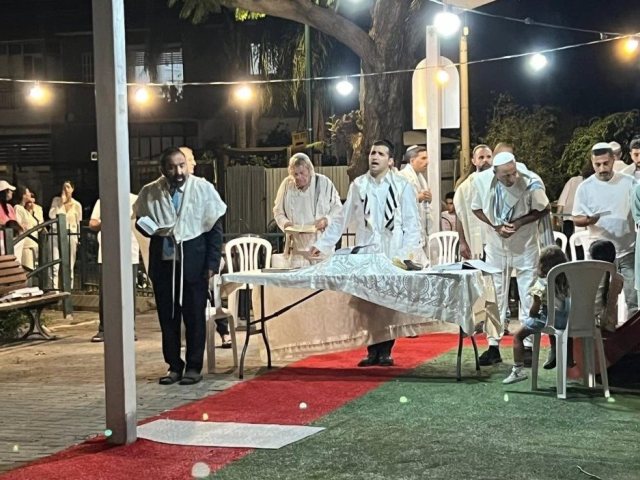 ארכיון. צילמה : מיטל ג'ורג'יה נוימן