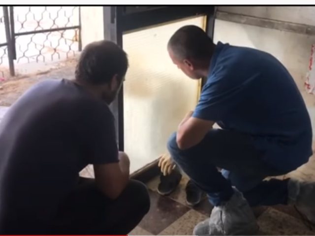 מז"פ